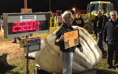 He’s making one giant pumpkin